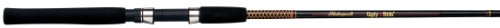 Shakespeare Two-Piece Medium Action Spinning Rod (5-Feet 10-Inch)