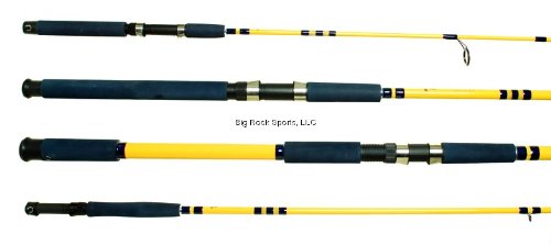 Eagle Claw Water Eagle Heavy Spinning Rod, 2 Piece (Yellow, 10-Feet)