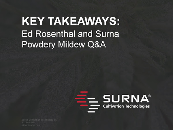 Surna and Ed Rosenthal Interview