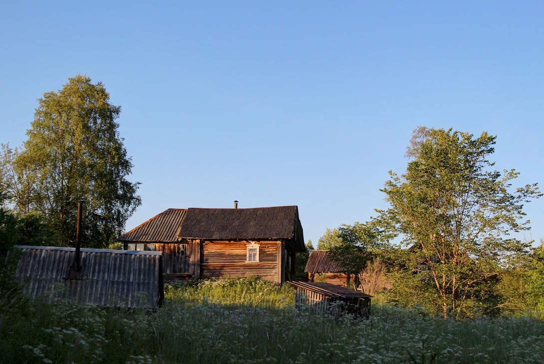 Пашозеро тихвинский район фото