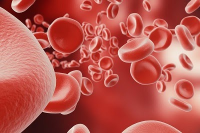 Boosting Your Hemoglobin: Low Hemoglobin Causes, Symptoms, and Treatments - lovelcute