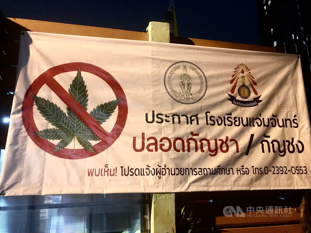 [新聞] 特派專欄 泰國大麻合法化缺法令配套 狀況